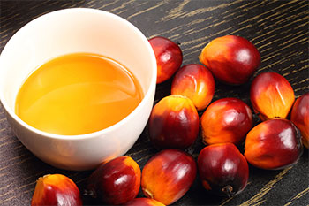 frutos y aceite de palma
